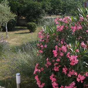 Appartamento Adriana Holiday, Labin (Istria)